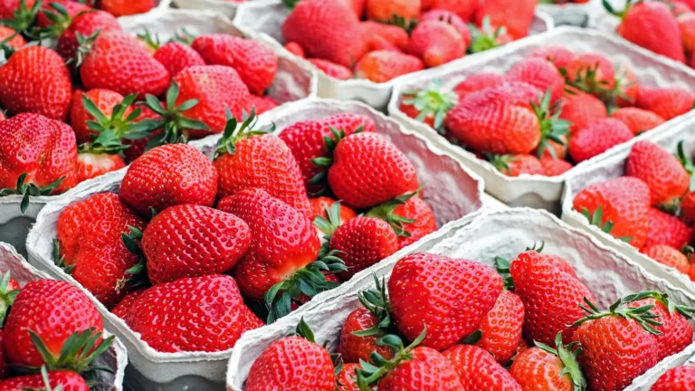 ALERTA SANITARIA | Detectan presencia de Hepatitis A en fresas procedentes de Marruecos