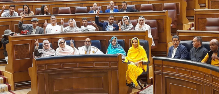 El Congreso de los Diputados acoge en su sala principal una jornada por el Sáhara Occidental