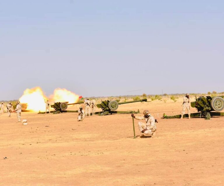 Maniobras militares del Ejército mauritano en la frontera con Mali