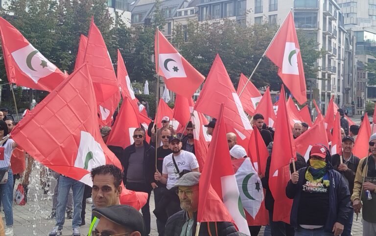 Una gran marcha por la independencia del RIF recorre las calles de Bruselas