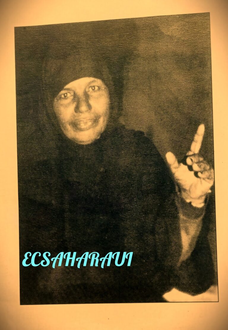 Homenaje a la Mujer Saharaui; De las peripecias de la ocupación