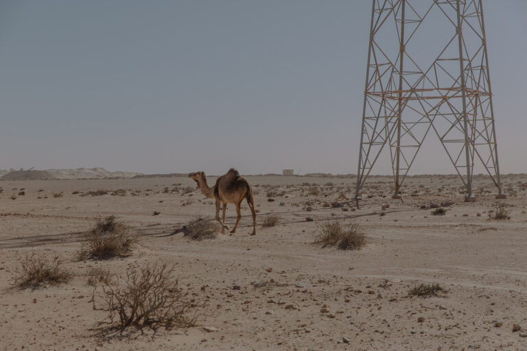 Marruecos acelera la colonización energética del Sáhara Occidental con un nuevo megacorredor eléctrico