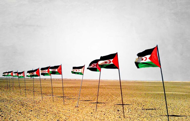 Sáhara Occidental | La ausencia de una «estrategia de diplomacia exterior» clara debilita la posición del Frente POLISARIO